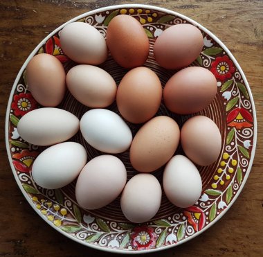 Islak kahverengi beyaz seramik plaka üzerinde yumurta