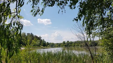 Orman göl kenarında Kiev Ukrayna