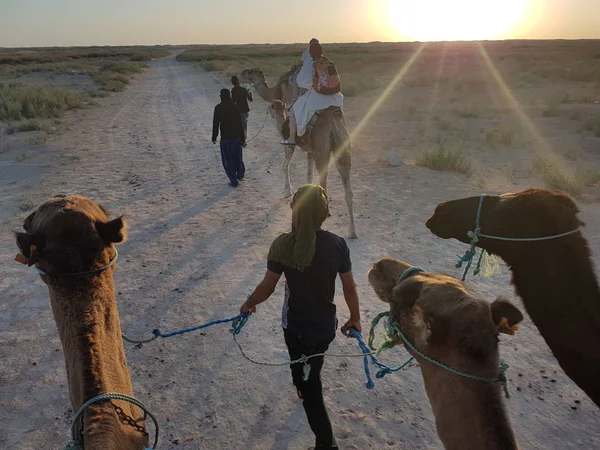 Пустынный Песок Туниса — стоковое фото