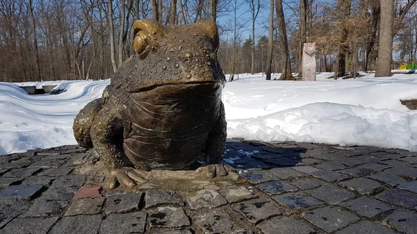 Żaba Rzeźby Winter Park Bucha Ukraina — Zdjęcie stockowe