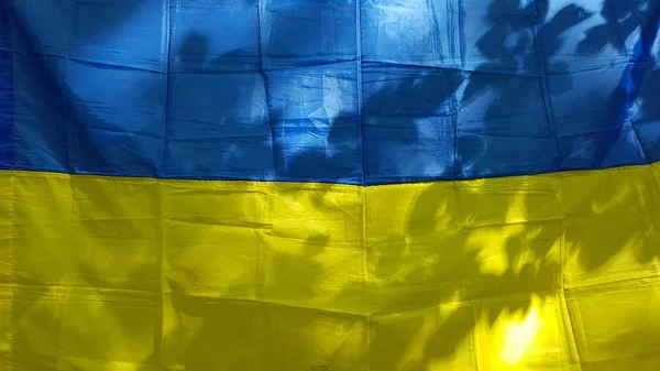 Ukrainische Flagge Mit Blättern Schatten Auf Sommersonne — Stockfoto