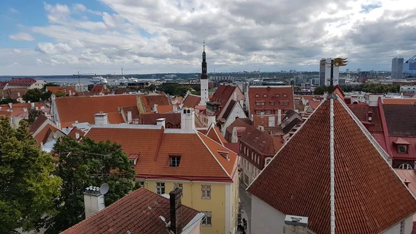 Panoramiczny Widok Tallinn Estonia — Zdjęcie stockowe