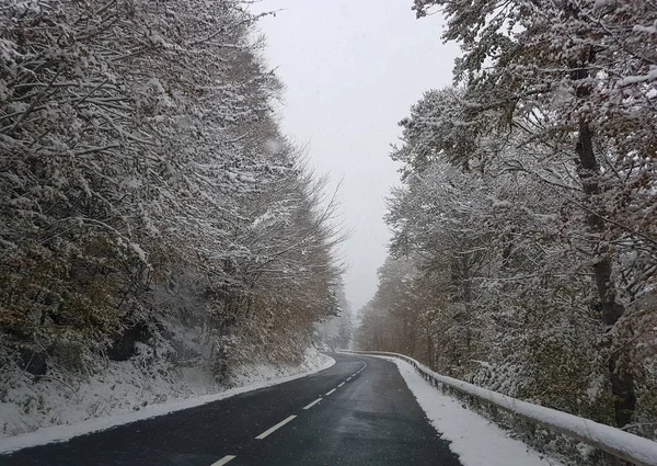 Winter Road High Trees Mountains — Stock Photo, Image