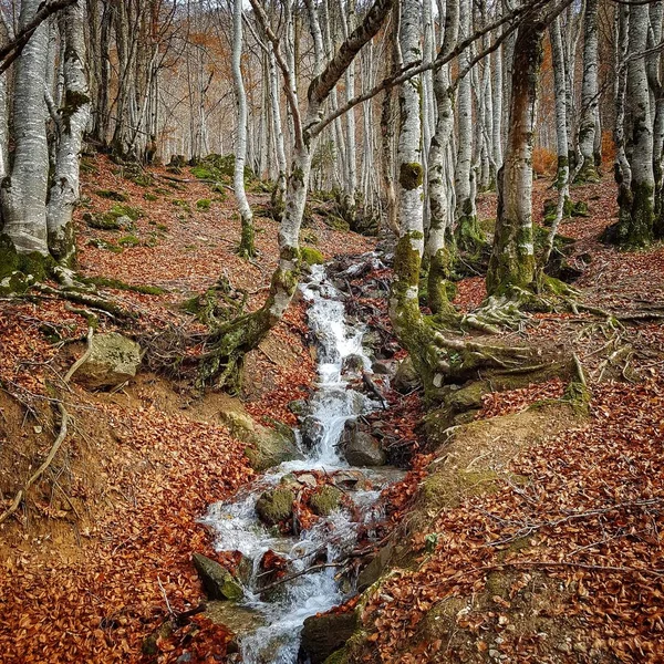 Stream Mountain Slope Cirque Gavarnie France Autumn — Stock Photo, Image