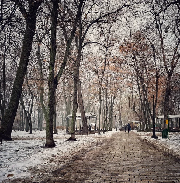 Parque Tarasa Shevchenko Kiev Ucrania Invierno —  Fotos de Stock