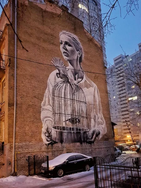 Mural Pintura Parede Edifício Kiev Ucrânia — Fotografia de Stock