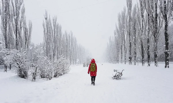 Prospect Vernadskogo Kyiv Neve Pesada Com Figura Mulher Casaco Vermelho — Fotografia de Stock