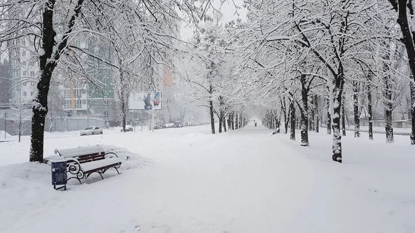 Prospecto Vernadskogo Kiev Nieve Pesada —  Fotos de Stock