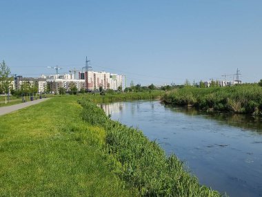 Durgun yüzeyi gökyüzünü yansıtan Irpin Nehri 'nin huzurlu yaz manzarası. Gür, yeşil bankalar kalın otlarla kaplanarak sakin bir doğal manzara yaratıyor. Bu görüntü ahenk, doğa ve huzur dolu bir rahatlama hissi uyandırıyor..