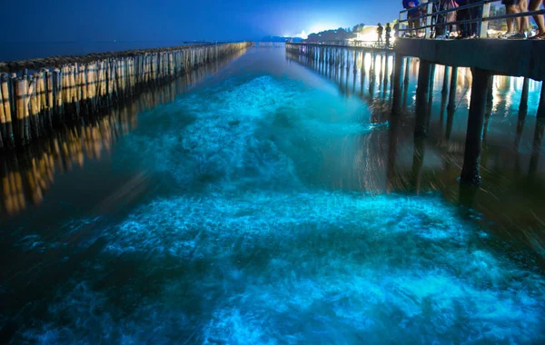 Bioluminescence Night Blue Sea Water Blue Fluorescent Wave Bioluminescent Plankton — Foto Stock