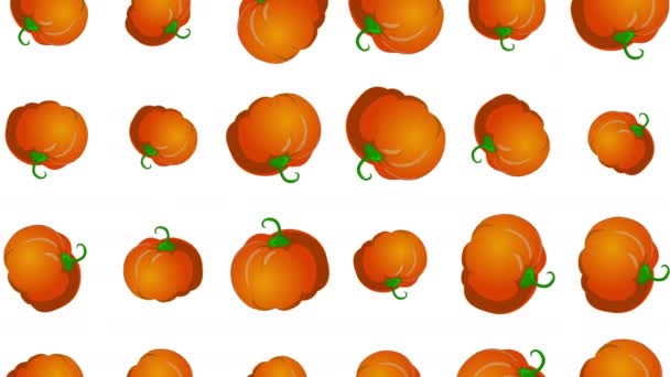 Background with falling pumpkins — Stock Video