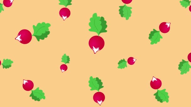 Background with falling radish — Stock Video