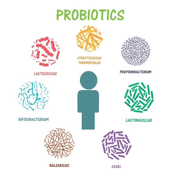 Conjunto de bactérias probióticas —  Vetores de Stock