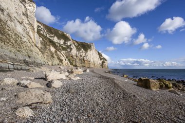 Branscombe Beach yakınındaki Seaton Devon Güney-Batı İngiltere'de