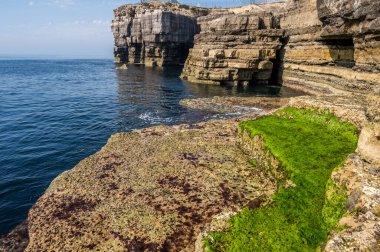 İngiltere 'de Dorset' te Portland Kayalıkları