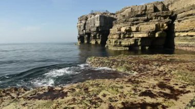 Portland Kayalıkları Adası İngiltere 'de Dorset' te Portland Bill yakınlarında.