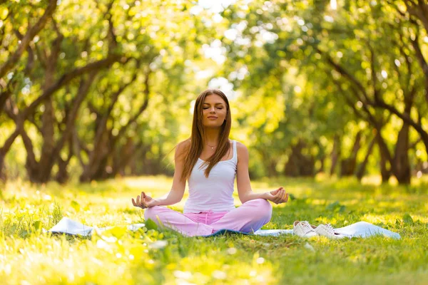 Kadın parkta çim üzerinde yalan ile bir dizüstü bilgisayar ve müzik dinleniyor