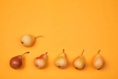 Renkli meyve deseni veya arka plan. Parlak turuncu arka plan üzerine yerleştirilen olgun sulu armut kompozisyonu