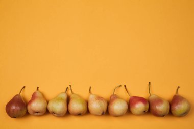 Renkli meyve deseni veya arka plan. Parlak turuncu arka plan üzerine yerleştirilen olgun sulu armut kompozisyonu