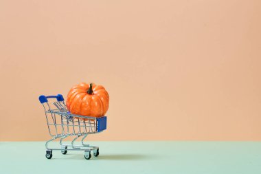 Sonbahar hasat festivali. Şükran Günü. Alışveriş arabasında mevsimlik balkabağı sebzesi. Şeftali arkaplanda boşluk kopyala