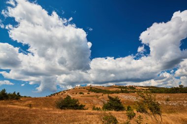 Yeşillikleri olan güzel çayırlar. Parlak mavi gökyüzü. Sahada kuru çimenler. Sonbahar ya da yaz mevsimi manzarası. Bakire doğa