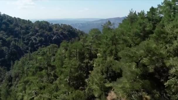 Vu d'une montagne en avion. Des actions. Vue de dessus des forêts exotiques. Belle forêt tropicale par une journée ensoleillée 
