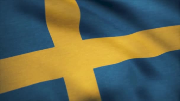 Grunge colorful background,Flag of sweden. Close up, fluttering downwind. — Stock Video