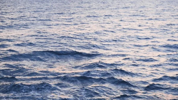 Fiskmås flyger över blått vatten bakgrund. Lager. Fiskmås flyger över havet — Stockfoto