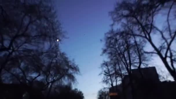 Visa från bilen till staden med träd. Suddig bakgrund av urban kvällshimlen genom träden i kvällen — Stockvideo