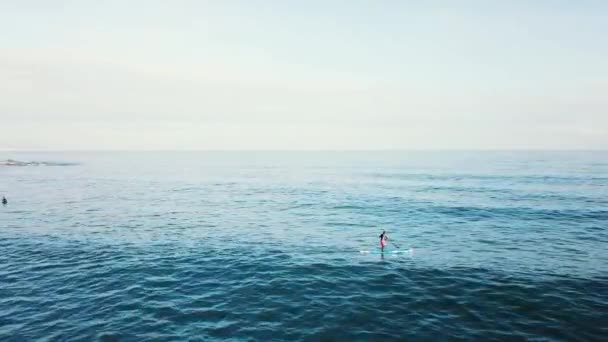 De surfer rijdt en zwemt op het bord ontrafeling van de golven van de Oceaan. Voorraad. Bovenaanzicht van een man die rijden op een bord op de golven — Stockvideo