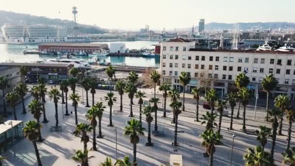 Blick auf eine tropische Stadt von der Spitze einer Palme. Aktien. Blick von oben auf die Palmen in der Stadt — Stockvideo
