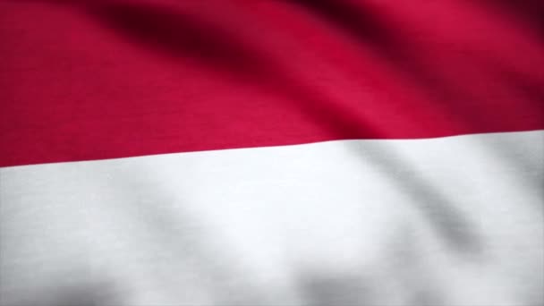 Flagge Indonesiens schwenkt. Hintergrund des Fahnenschwenkens von Indonesien — Stockvideo