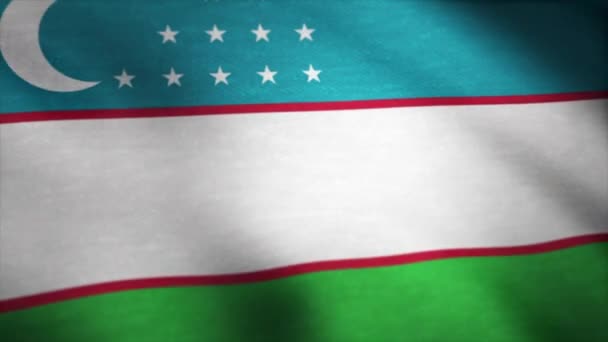 Gerçekçi güzel Özbekistan bayrağı. Özbekistan'ın ulusal bayrak sallayarak — Stok video