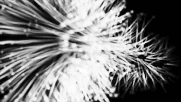 Абстрактна анімація темної рідкої петлі темного потоку чорнильної води або олії, шовкова тканина з відображенням, розмивання. Хвиля і пульсація на темній поверхні. абстрактна фарба пензлем Форма штриху білого чорнила — стокове відео