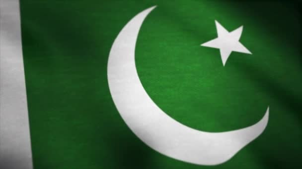 Bandiera del Pakistan sventola sul vento. Pakistan bandiera animazione — Video Stock