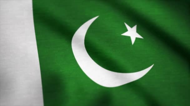 Bandiera del Pakistan sventola sul vento. Pakistan bandiera animazione — Video Stock