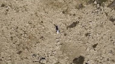 Havadan görünümü görüntülerini ileri tek başına çölde yürüyen bir adam. Hisse senedi. Ekstrem Sporlar. Adam doğa ustaları. Dağcı tek başına çölde. Havadan görünümü