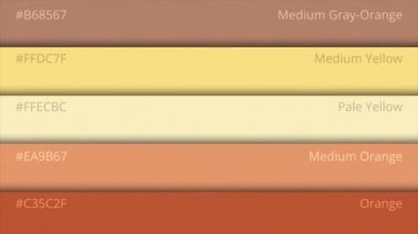 Renk paleti Kılavuzu. Web renkleri. Örnek renkleri kataloğu. web tasarım Html. necklac parlak arka plan renk seçenekleri. RGB. Cmyk. Basım evi. Web tasarım şablonu kavramı