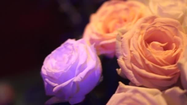 Bouquet de mariage de roses blanches. Clip. Pétales d'une rose blanche gros plan. Gros plan de roses fraîches de couleur blanche avec des tiges et des feuilles vertes — Video