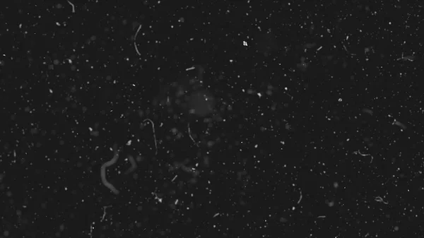 Белые частицы пыли медленно движутся в пространстве на черном фоне. Абстрактные частицы движущегося фона. Медленное движение макрочастиц пыли взрывной поток на черном фоне — стоковое фото