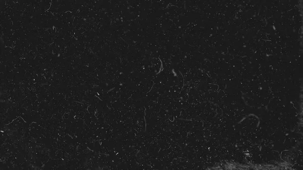 White dust particles moving slowly in space on black background. Abstract particle moving background. Slow motion macro dust particles explosive flow over black background