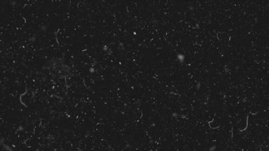 Yavaş hareket uzayda siyah arka plan üzerine beyaz toz parçacıkları. Soyut parçacık arka plan hareketli. Ağır çekim makro toz parçacıkları patlayıcı akış siyah arka plan üzerinde
