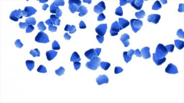 Beyaz zemin üzerine düşen yaprakları gül animasyon. Gül yaprakları düşüyor