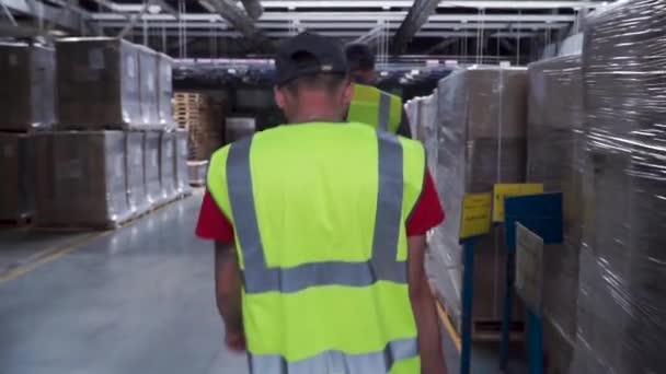 Retrato de vista trasera del trabajador del almacén que lleva casco y chaqueta reflectante caminando entre estantes de almacenamiento con cajas. Trabajador de almacén masculino. Clip — Vídeo de stock