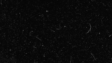 Natural organic dust particles floating on black background. Glittering sparkling particles randomly spin in the air. White dynamic particles clipart