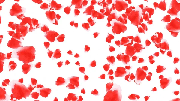 Abstract animation of falling flower petals. Red rose petals falling on the black background