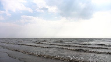Ağaç dallarında deniz kıyısı, dalgalar ve gökyüzü arka plan ile. Video. Ölü ağaçlar bir koridor veya mezar bahçesinde ağaçlar için oluşturun. Arka plan üzerinde güzel deniz manzarası karşı pandanus ağacının kurutulmuş dal.