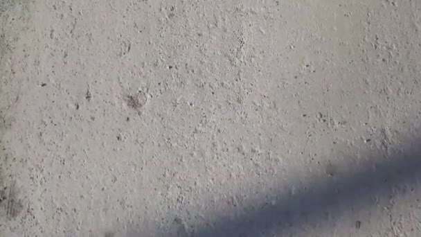 Texture of asphalt, seamless texture, pavement slide motion. Walking on cement floor background. Stock — Stock Video