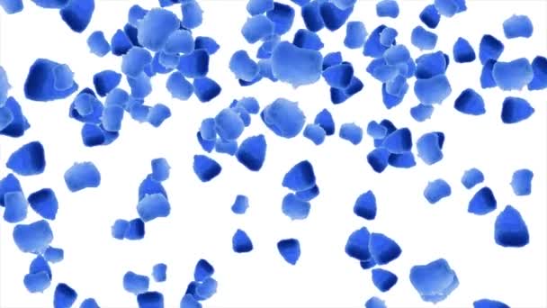 Falling watercolor flower leaves background. Blue flower on white background. Abstract hand drawn watercolor background: blue and white flowers. — Stock Video