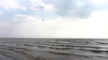 Fırtınalı denizde martılar mavi gökyüzünde ile. Kuşlar, dalgalar, beyaz köpük, Esinti, su sıçramalarına, kum ile güzel deniz manzarası.